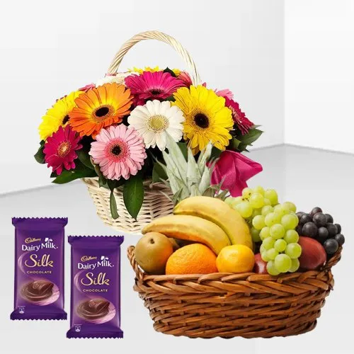 Order Gerberas Arrangement with Dairy Milk Silk and Mixed Fruits Basket