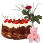 Gorgeous Gift of 1/2 Kg. Cake, Teddy and Red Rose Gorgeous Gift of 1/2 Kg. Cake, Teddy and Red Rose