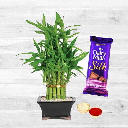 2 Tier Bamboo Plant N Silk Combo 2 Tier Bamboo Plant N Silk Combo