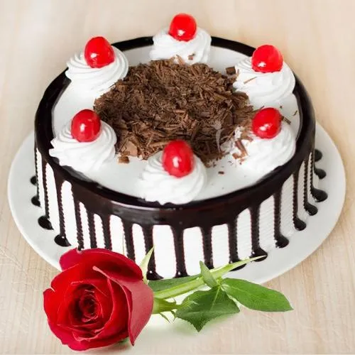 Exciting Valentine Gift of Black Forest Cake with Single Red Rose
