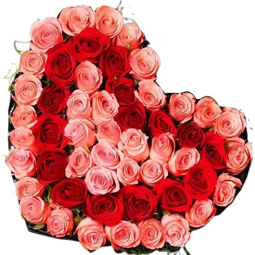 Elegant Love Shape Arrangement Pink N Red Roses	