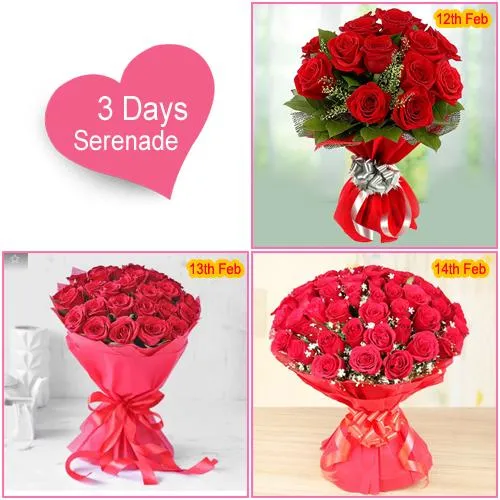Beautiful Rosy Surprise 3 Day Serenade Gift