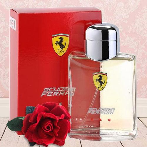 Ferrari Red EDT for Handsome Men Ferrari Red EDT for Handsome Men