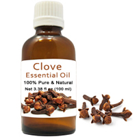 Exquisite Display of Clove Essential Oil Gift Pack Exquisite Display of Clove Essential Oil Gift Pack