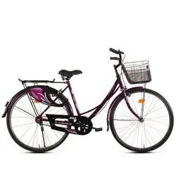 Lass's Muse BSA Ladybird Dreamz (Junior) Bicycle<br>