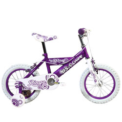 Joyful and Thriving BSA Champ Ringo Bicycle<br> Joyful and Thriving BSA Champ Ringo Bicycle<br>