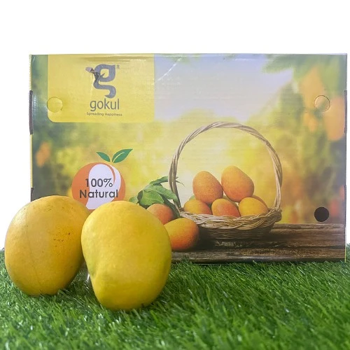 Juicy Alphonso Mango
