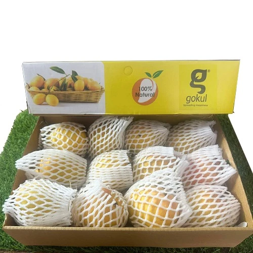 Zesty Alphonso Mangoes