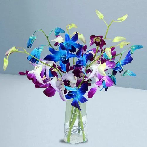 Exotic Purple n Blue Hues in a Vase