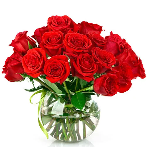 Blossoming Red Roses in a Vase with Pure Love