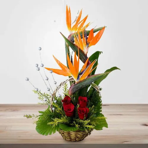 Splendid Red Roses n Birds of Paradise Basket