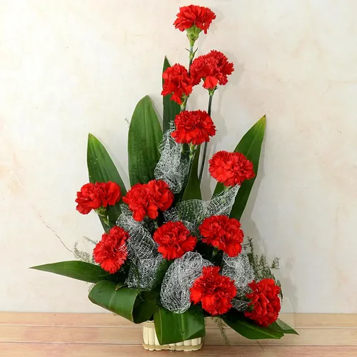Clustered Array of One Dozen Carnations