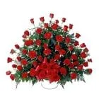 Deliver Dutch Roses Arrangement