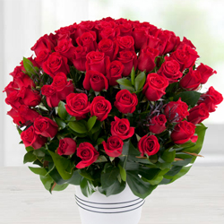 Luxurious Valley of 100 Dutch Red Roses Bouquet Luxurious Valley of 100 Dutch Red Roses Bouquet