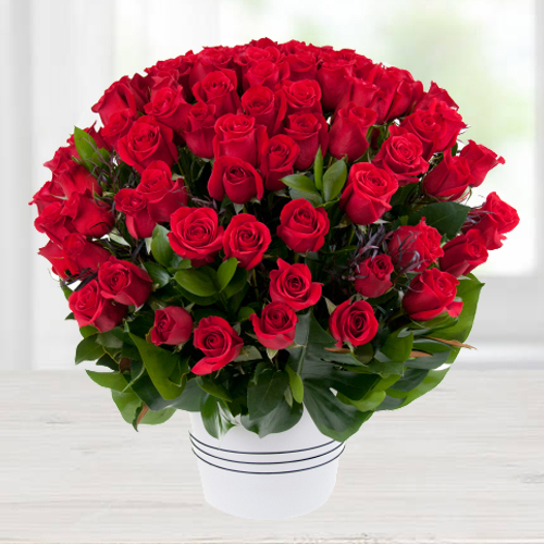 Luxurious Valley of 100 Dutch Red Roses Bouquet Luxurious Valley of 100 Dutch Red Roses Bouquet