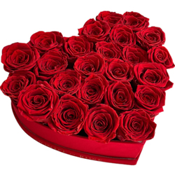 Ornamental Heartiest Touch of Red Roses Bouquet Ornamental Heartiest Touch of Red Roses Bouquet