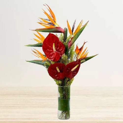 Wonderful Vase of Birds of Paradises n Red Anthurium Wonderful Vase of Birds of Paradises n Red Anthurium