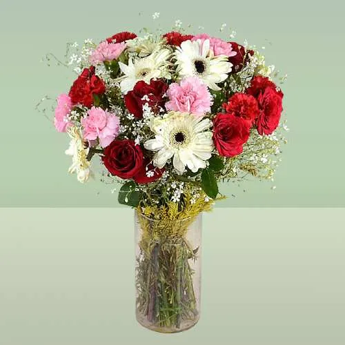 Spectacular Red Roses n Mixed Carnations in Vase
