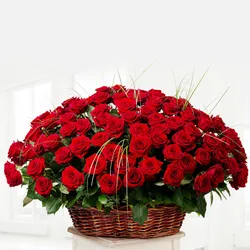 Send Dutch Roses Arrangement Send Dutch Roses Arrangement