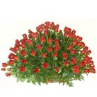 Gorgeous Arrangement of 150 Dutch Roses in Red Gorgeous Arrangement of 150 Dutch Roses in Red