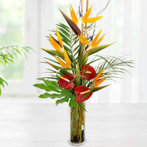 Dazzling Vase of Birds of Paradise n Anthurium