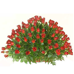 Gorgeous Arrangement of 150 Dutch Roses in Red Gorgeous Arrangement of 150 Dutch Roses in Red