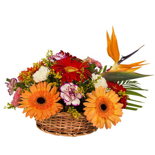 Mix Arrangement of Carnations and Gerberas Mix Arrangement of Carnations and Gerberas