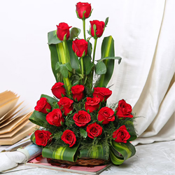 Luminous Forever in Love 15 Red Roses in a Basket Luminous Forever in Love 15 Red Roses in a Basket