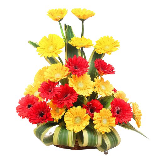Magnificent Precious Love Dozen of Mixed Roses in a Vase Magnificent Precious Love Dozen of Mixed Roses in a Vase