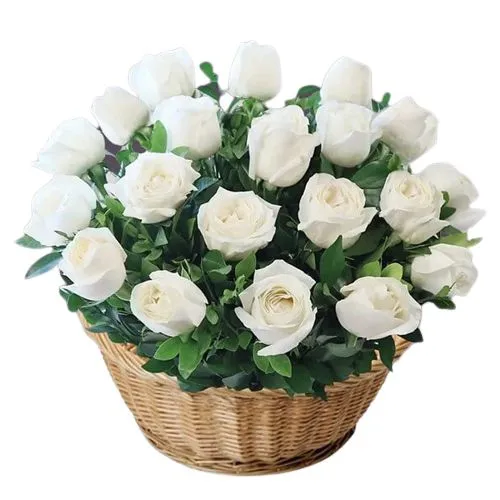 Serene White Roses Basket Arrangement