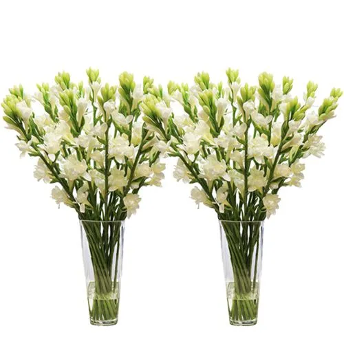 Eternal Emotions Tuberose in Separate Vase