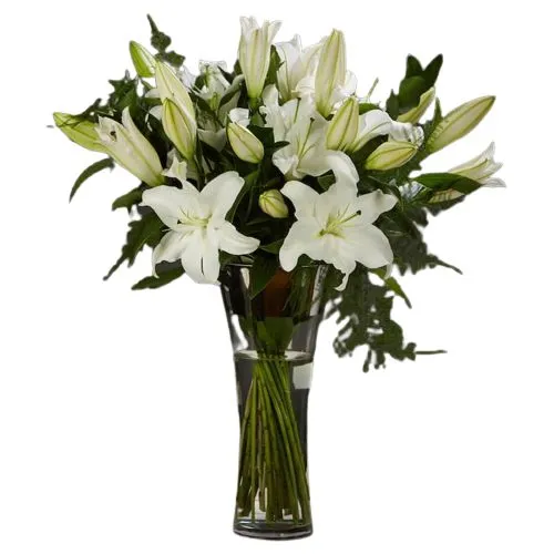 Hope  N  Serenity White Asiatic Lily in Vase