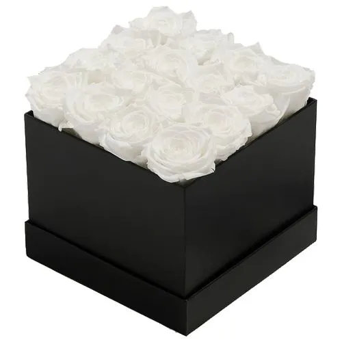 Unblemished White Roses in Black Box