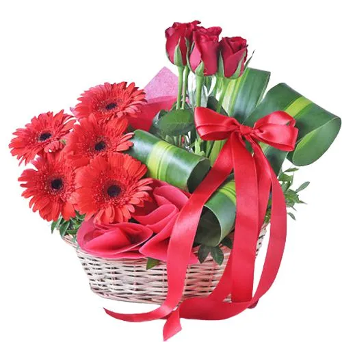 Graceful Basket Arrangement of Red Gerberas N Roses