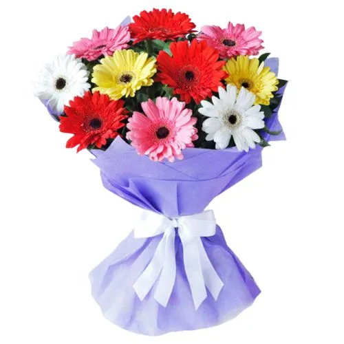 Graceful Mixed Gerberas Bouquet in Tissue Wrap