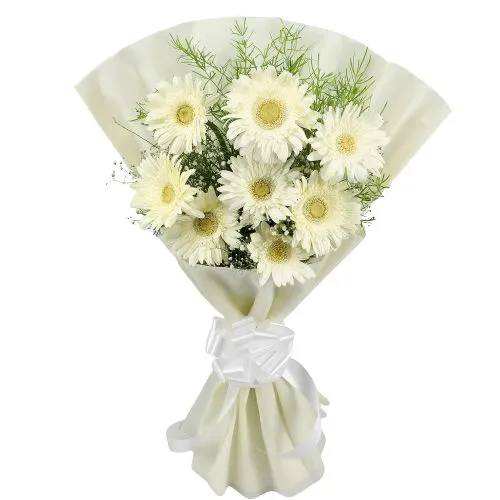 Elegant White Gerberas Tissue Wrapped Bouquet