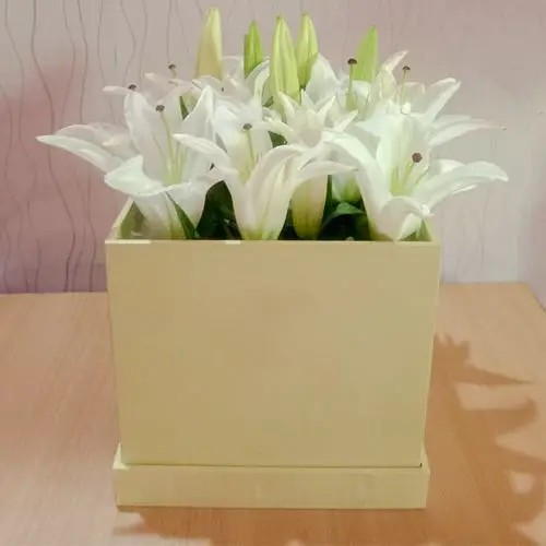 Stunning 10 White Asiatic Lilies Box