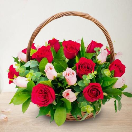 Arrangement of 18 Pink and Red Roses - Specally for the Wonder Women Arrangement of 18 Pink and Red Roses - Specally for the Wonder Women