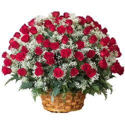 101 Exclusive Red Dutch Red Roses Arrangement...