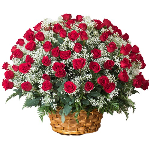 Deliver Dutch Roses Arrangement for V-Day Deliver Dutch Roses Arrangement for V-Day