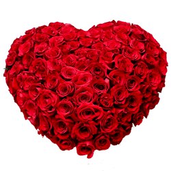 Enchanted Red Colored 150 Dutch Roses Heart Shaped Arrangement Enchanted Red Colored 150 Dutch Roses Heart Shaped Arrangement