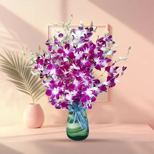 Lovely Orchids in Vase Lovely Orchids in Vase