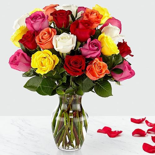 24 Mixed Roses in Vase- for the Wonder Women 24 Mixed Roses in Vase- for the Wonder Women