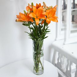 Delightful Vase Decked with 6 Pcs. Lilies in Mixed Colors Delightful Vase Decked with 6 Pcs. Lilies in Mixed Colors