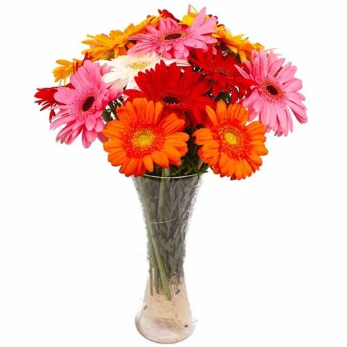 Extravagant Vase of 12 Mixed Gerberas Beauty