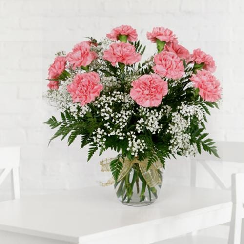 Stunning Pink Carnations in a Vase Stunning Pink Carnations in a Vase