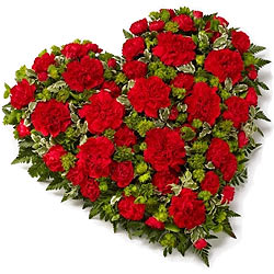 Scintillating 24 Red Carnations in Heart Shape Scintillating 24 Red Carnations in Heart Shape