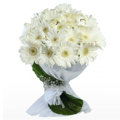 Distinctive Sweet Escape White Gerberas with Fillers Distinctive Sweet Escape White Gerberas with Fillers