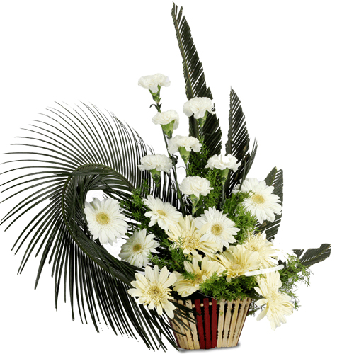 Special Carnations N Gerberas Bunch Special Carnations N Gerberas Bunch