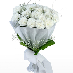 Lovely Pure Gratitude White Carnations Bouquet Lovely Pure Gratitude White Carnations Bouquet